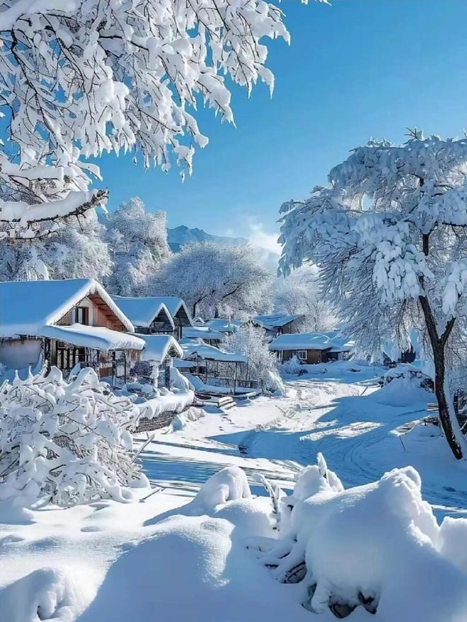 吉林与哈尔滨冰雪城市大比拼谁才是更美的雪域之城？(图3)
