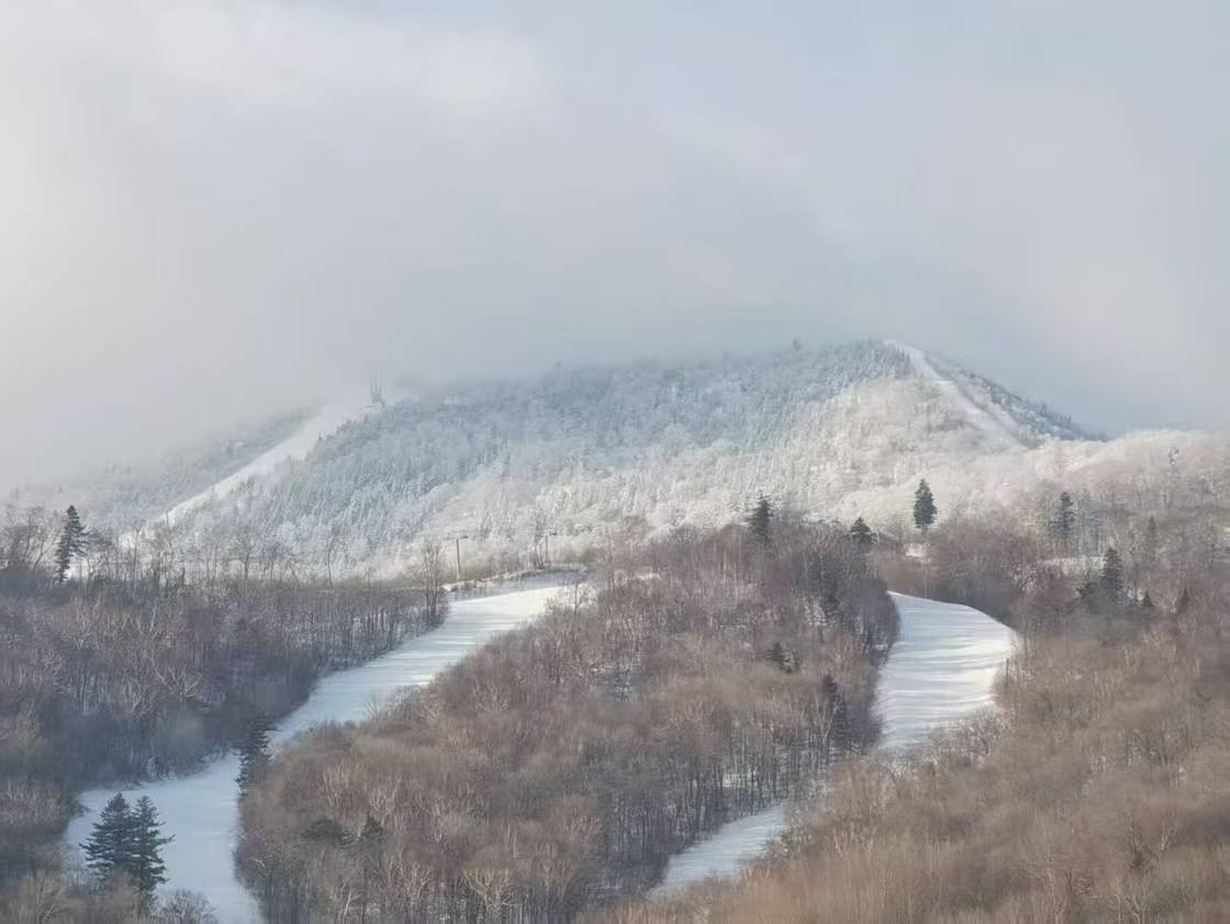 九游体育：高质量发展看中国｜滑雪上春山！黑龙江海量“粉雪”资源开辟消费新场景(图6)