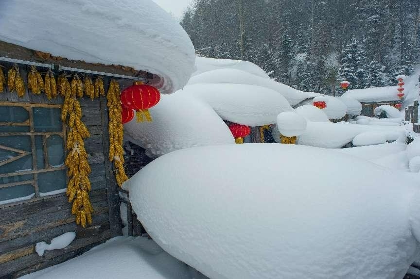 九游体育：高质量发展看中国｜滑雪上春山！黑龙江海量“粉雪”资源开辟消费新场景(图3)