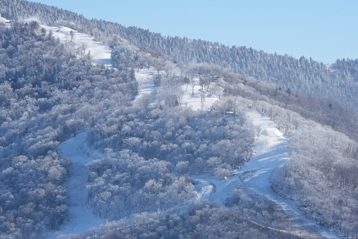 国际顶尖冰雪赛事为何青睐吉林北大湖？(图5)