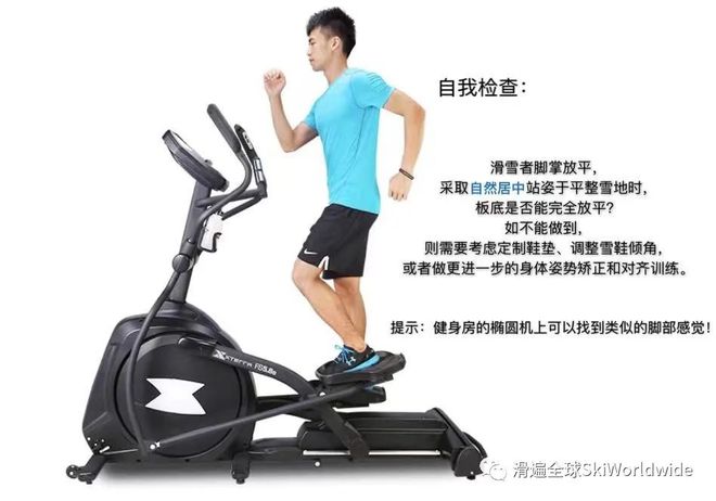 双板滑雪的基本原理和技能模型(图6)