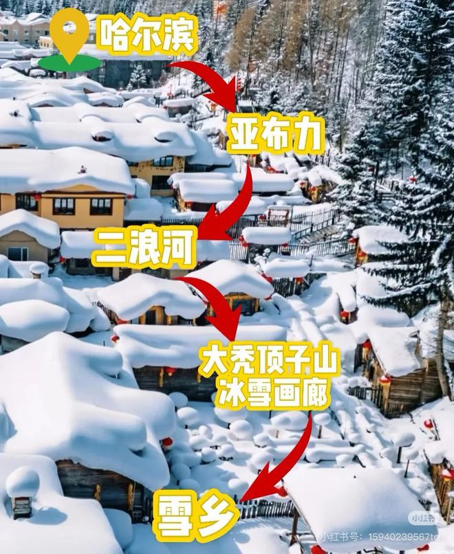 九游体育：哈尔滨漠河四日游攻略哈尔滨漠河玩4天费用明细？大概800元(图2)