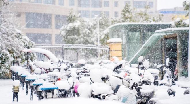 明日入九九老话“雪落九九头农家发大愁”有啥不好预兆？(图3)