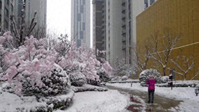 明日入九九老话“雪落九九头农家发大愁”有啥不好预兆？(图2)