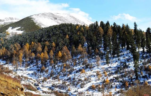 中国十大最美赏雪圣地你最想去哪个？(图10)