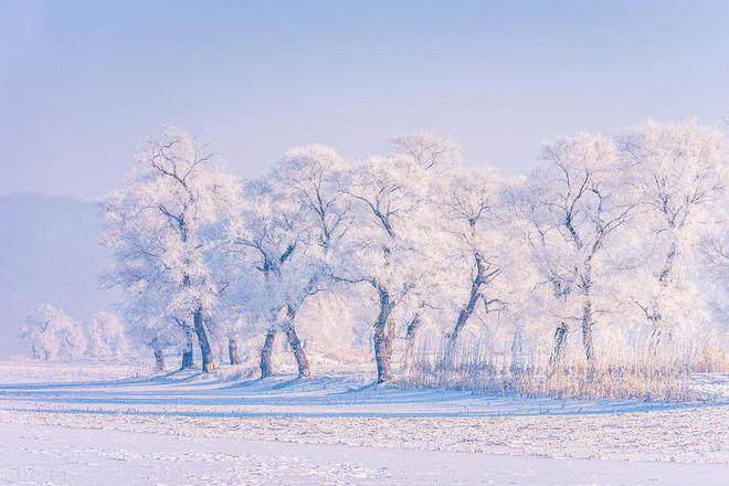 中国最美雪景在哪里？10个封神赏雪地你心目中的最美雪景是哪里(图8)