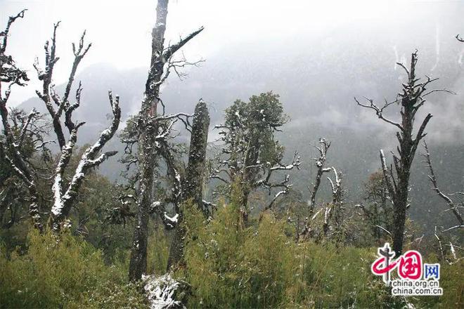专家观点｜怒江应成为特种旅游的宝藏之地(图5)