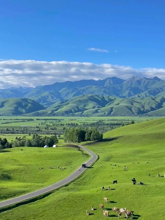 九游体育：在新疆旅游热潮中选对路线和季节太重要！推荐收藏(图2)