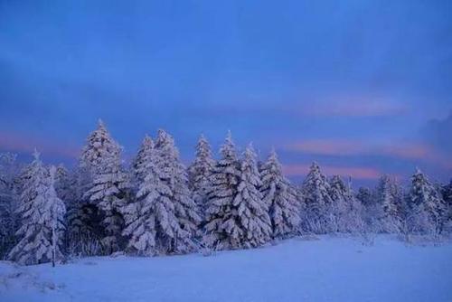 国内冬季赏雪十大旅游地长白山你去过吗？(图3)