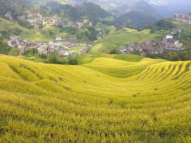 暑假桂林四日游最佳攻略行程路线日游旅行全攻略(图5)