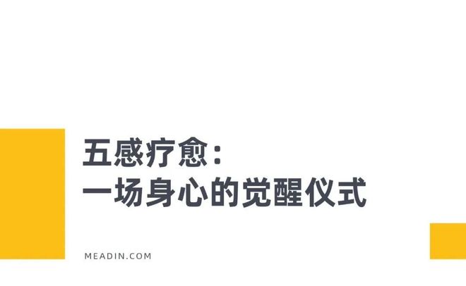 中国天然氧吧如何用五感疗愈征服年轻人？(图5)
