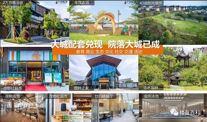 九游体育：增城大盘【泰禾广州院子】首付10万起入住入户广州入读名校！(图11)