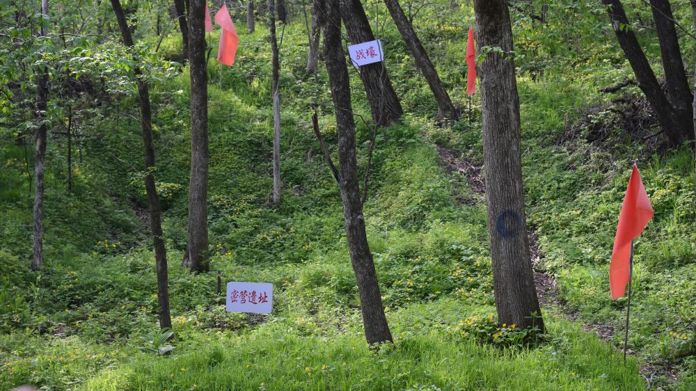 九游体育网站：铭记历史缅怀先烈｜白山黑水见证：从烽火硝烟到振兴热土的巨变(图1)