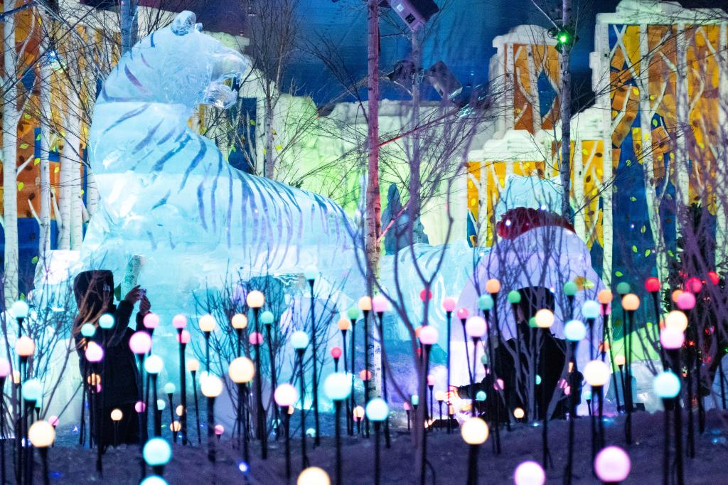 四季冰雪项目引领中国“冰城”春季旅游热潮(图2)