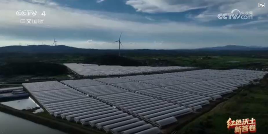 九游体育网站：从抗战中坚到产业新锐：科技感十足的老区制造走出国门(图4)