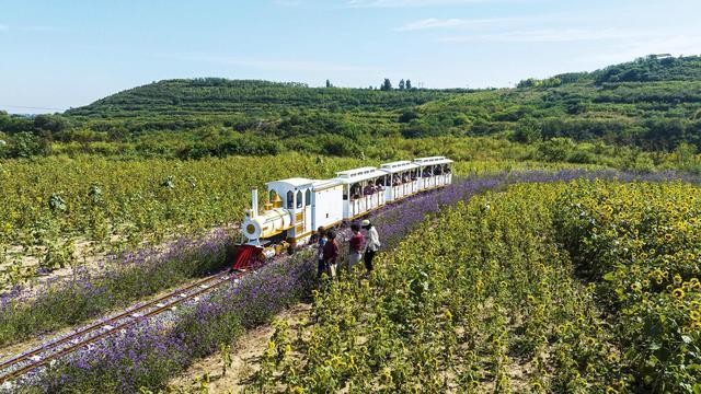 “工业锈带”蝶变“文旅沃土”——复兴区激发农文体旅融合发展新动能(图2)
