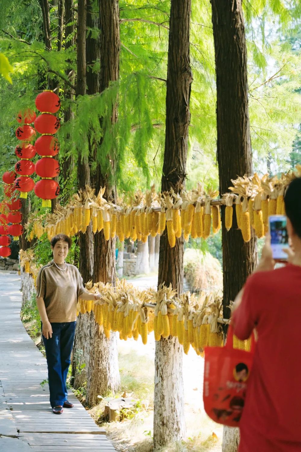 九游体育：全网刷屏！2125万人次国庆假期畅游黄陂(图12)