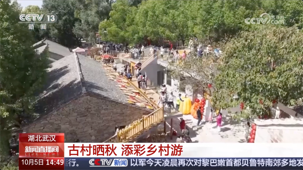 九游体育：全网刷屏！2125万人次国庆假期畅游黄陂(图14)