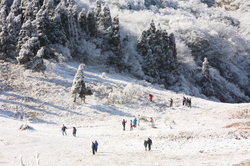 2025重庆金佛山下雪最新状况（持续更新）(图1)
