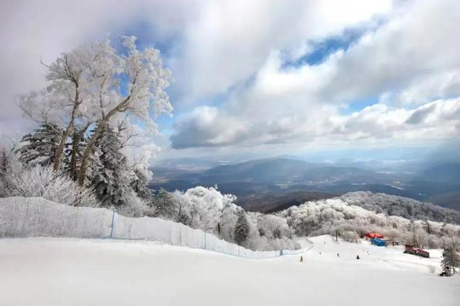 三山联网焕新颜冰雪赋能兴乡村｜亚布力绘就文旅融合振兴新图景(图8)