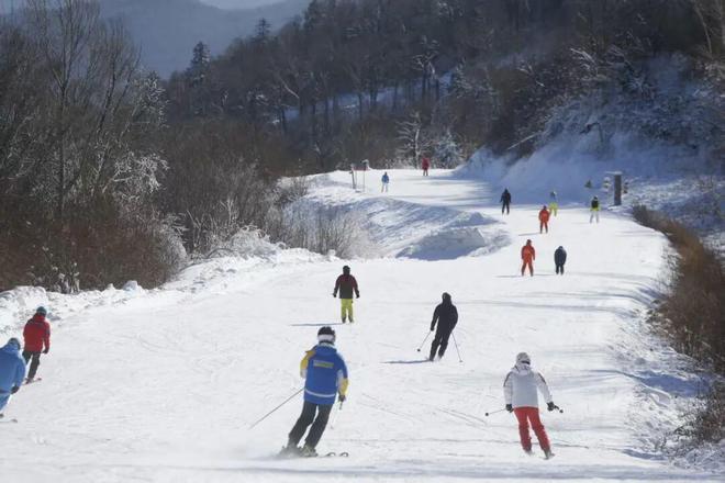 三山联网焕新颜冰雪赋能兴乡村｜亚布力绘就文旅融合振兴新图景(图1)
