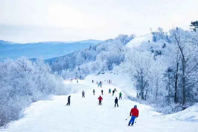 三山联网焕新颜冰雪赋能兴乡村｜亚布力绘就文旅融合振兴新图景(图2)