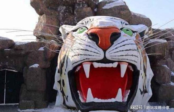 哈尔滨5日游旅游线日游要多少钱保姆级出行手册！(图6)