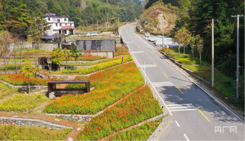 从“山路十八弯”到“一小时都市圈”——霍山交通跃迁记(图5)