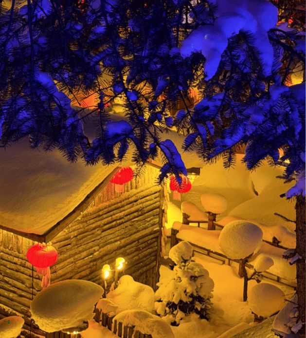 哈尔滨最新报团攻略深度解析哈尔滨旅游五天行程安排+费用清单(图3)