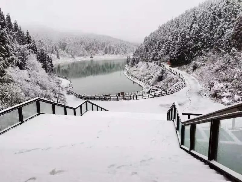 九游体育网站：重庆冬天有哪些地方可以看雪重庆看雪好去处(图3)