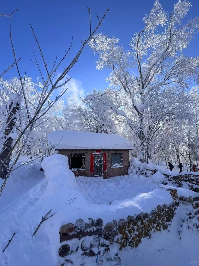 哈尔滨旅游必备指南:哈尔滨旅行社、十大正规社及前十名推荐(图2)