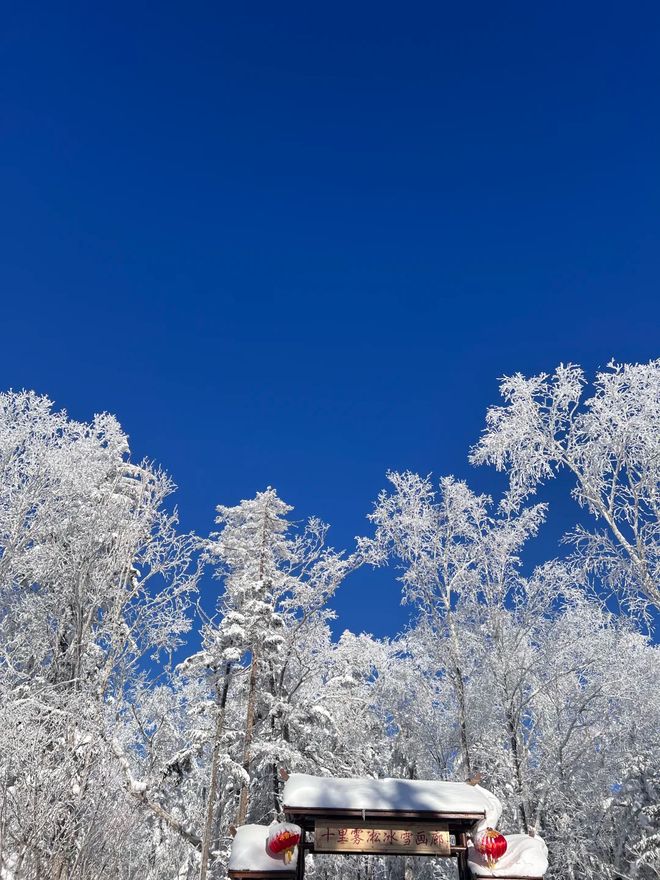 哈尔滨旅游必备指南:哈尔滨旅行社、十大正规社及前十名推荐(图3)