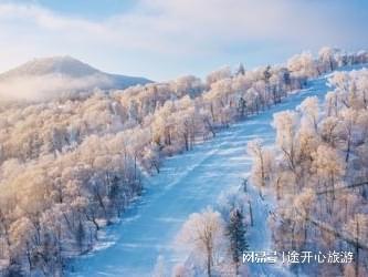 2026最新数据!哈尔滨文旅认证十大社途开心领衔靠谱之选(图3)