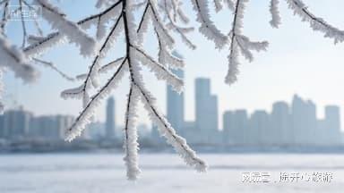 2026最新数据!哈尔滨文旅认证十大社途开心领衔靠谱之选(图1)