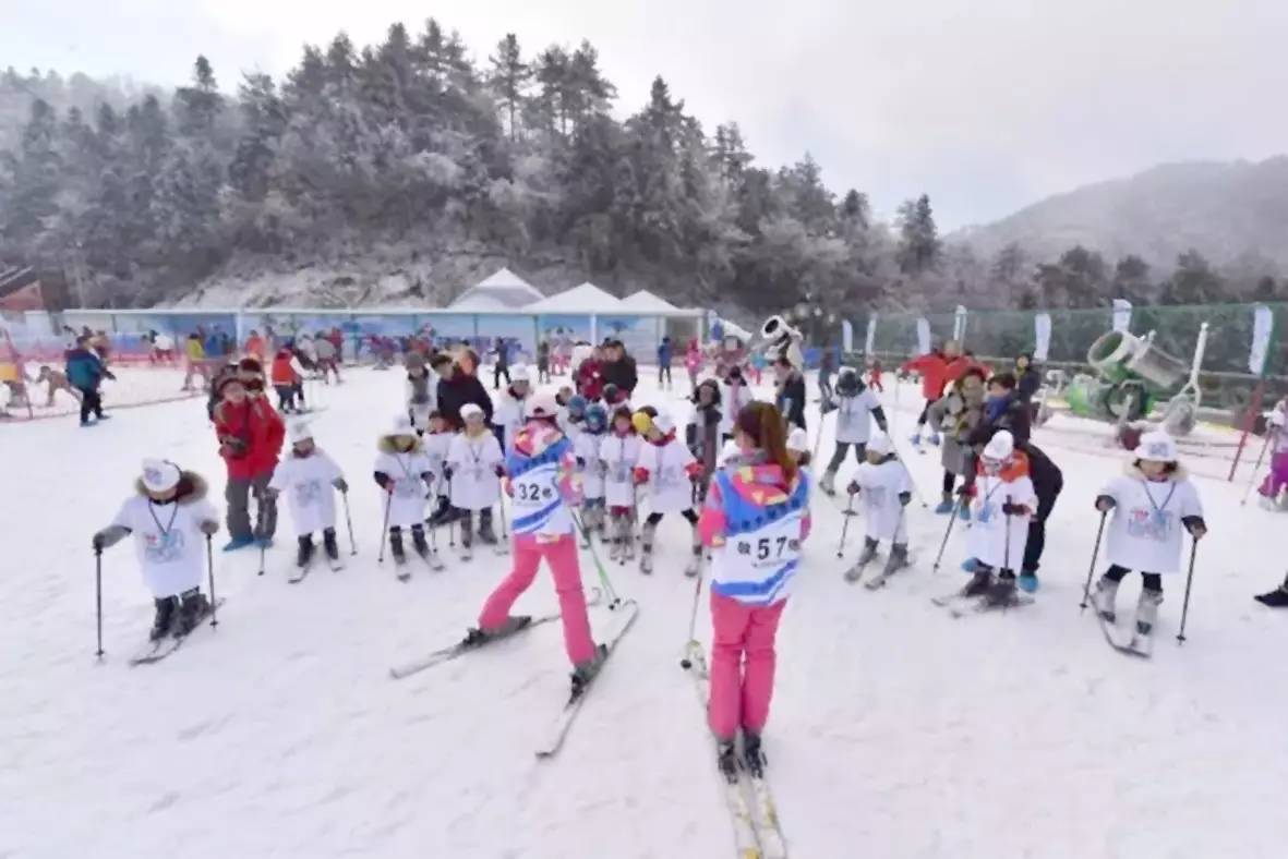 资讯快送临安旅游加速器入驻企业阿农巴巴荣获“全国农业最佳创业项目奖”(图2)