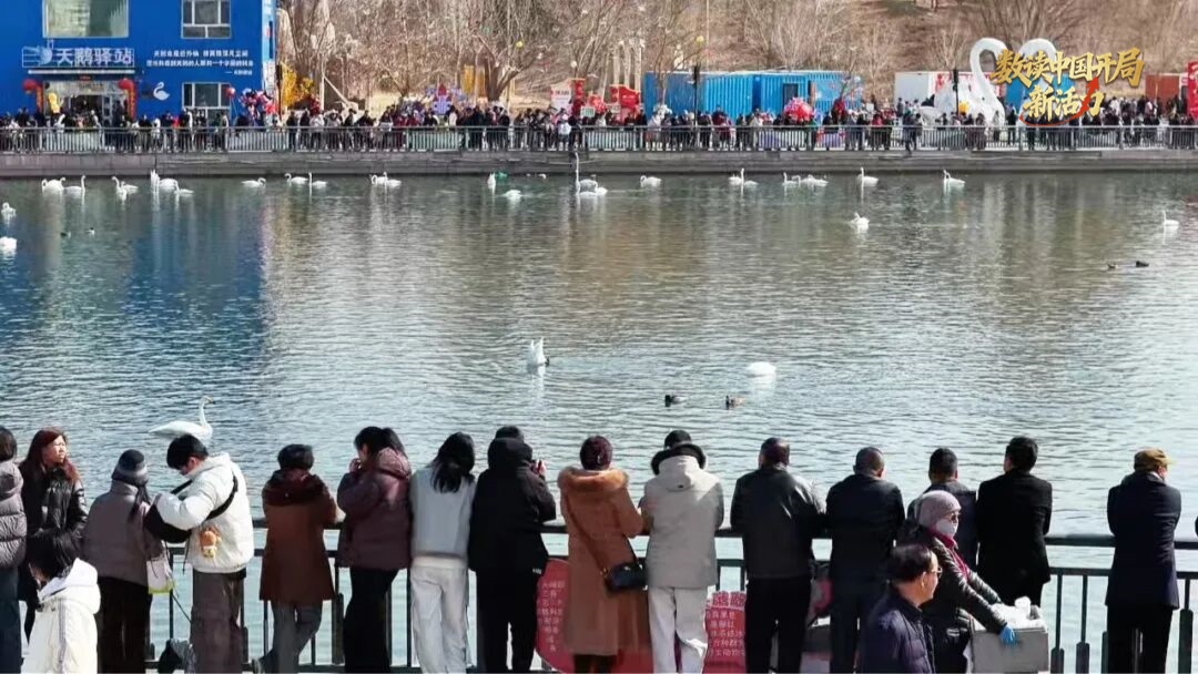 数读中国开局新活力丨311亿元!乌尉高速通车首个春节赋能新疆南北“消费走廊”(图3)