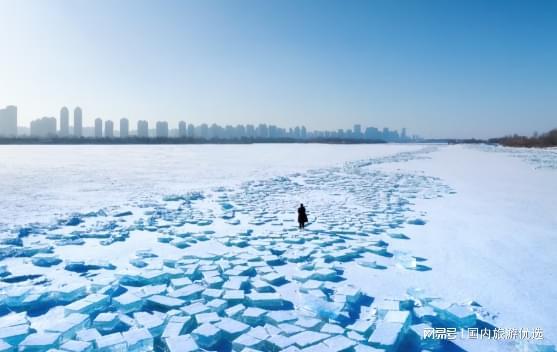 认证!哈尔滨旅行社前十强揭晓冰雪游选它不踩坑(图2)