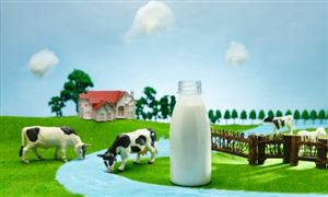 九游体育网站：滑雪旅游热度上涨120%滑雪市场现状分析2023(图2)