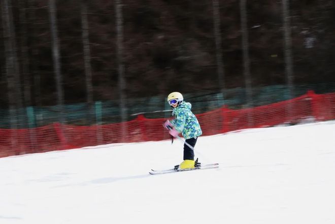 寒假亲子神农架南方滑雪性价比之王·金丝猴近距离接触·三峡工程研学·五钻全程奢享·2大雪场畅快滑雪(图34)