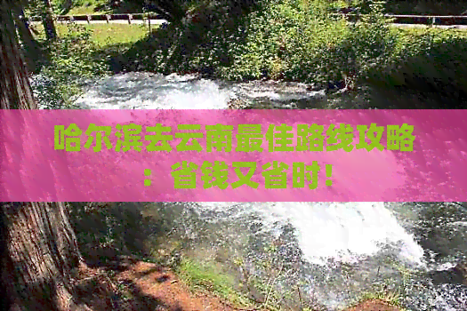 哈尔滨去云南更佳路线攻略：省钱又省时！(图1)