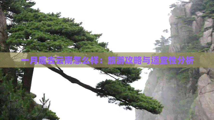 一月底去云南怎么样：旅游攻略与适宜性分析(图1)